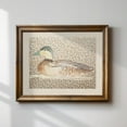 thumbnail image 1 of Vintage Mallard Duck Horizontal Print, Nursery, Botanical, Cottage Core Decor, Wall Art Wall Art, Modern Wall Decor For Living Room, 16x24 UNFRAMED, 1 of 2