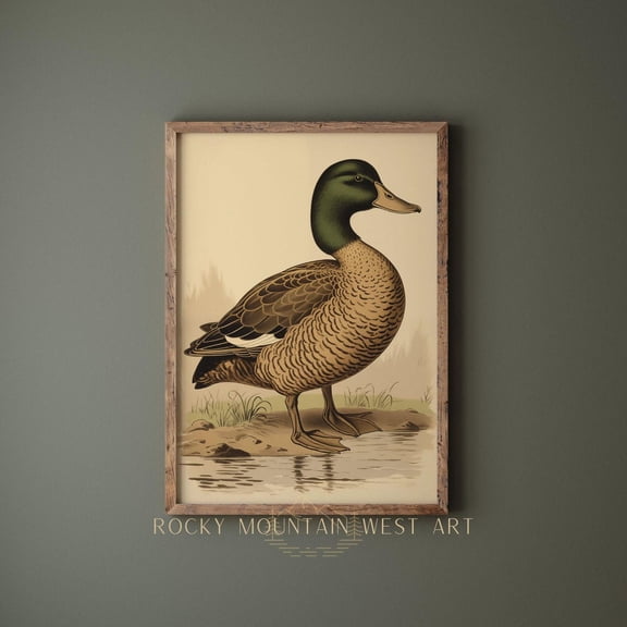 Vintage Mallard Duck Wall Art Duck Print Bird Wall Art Lake Cabin Decor Nature Wall Art Farmhouse Wall Art Woodland Nursery Home Decor #160, Stretched Canvas Size 12x18