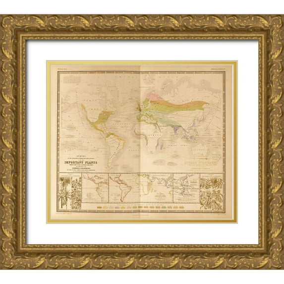 Vintage Maps 13x12 Gold Ornate Wood Framed with Double Matting Museum Art Print Titled - Food Plants of the World
