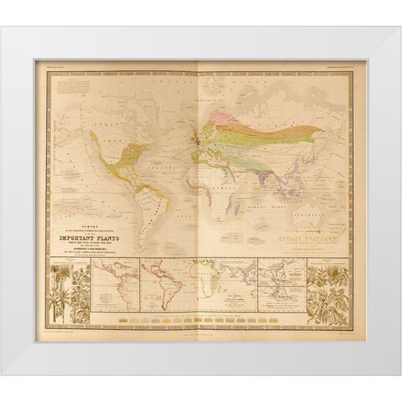 Vintage Maps 13x12 White Modern Wood Framed Museum Art Print Titled - Food Plants of the World