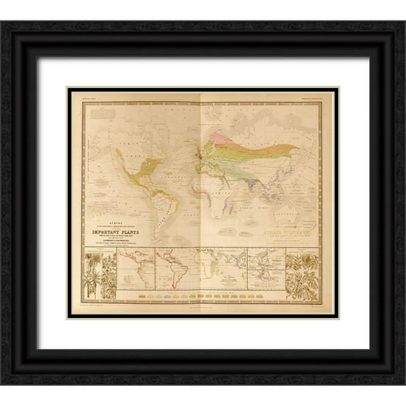 Vintage Maps 23x20 Black Ornate Wood Framed with Double Matting Museum Art Print Titled - Food Plants of the World