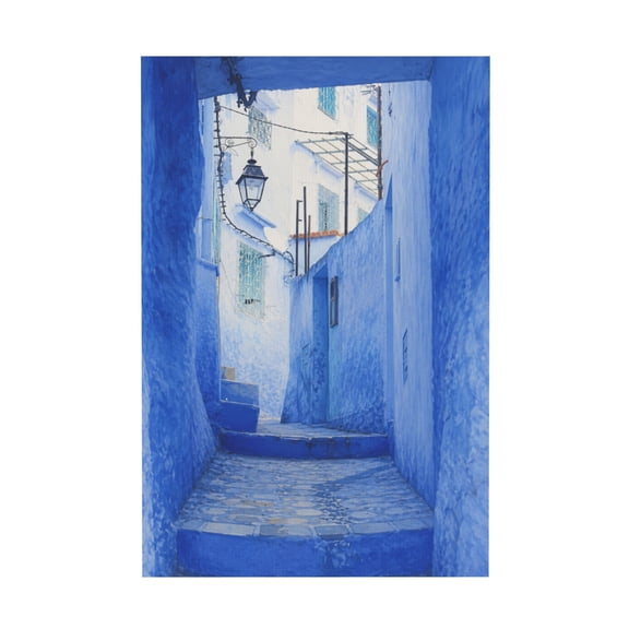 Vintage Mediterranean Town Streets Flower Door Windows Canvas Wall Art For Home Decor 12*18in