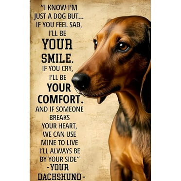 Vintage Metal Sign Aluminum Sign Adventure Awaits Let's GO FIND IT Tin Sign Retro Wall Decor for Home, Cafe, and Garden for Home Decor 8x12 inch