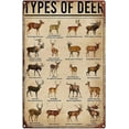 thumbnail image 1 of Vintage Metal Sign Wall Decal Types Of Deer Knowledge Tin Sign, Wall Art Retro Tin Sign Metal Poster for Home Bar Cafe Garage Personalized Metal Sign 8x12 inch, 1 of 5