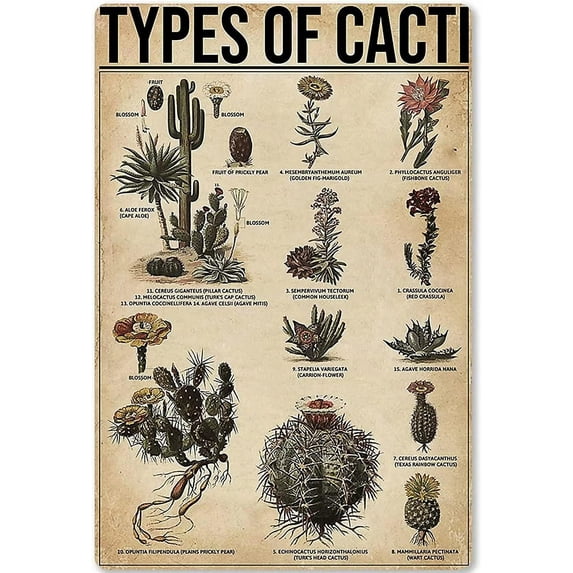 Vintage Metal Sign Wall Decal Types Of Deer Knowledge Tin Sign, Wall Art Retro Tin Sign Metal Poster for Home Bar Cafe Garage Personalized Metal Sign 8x12 inch