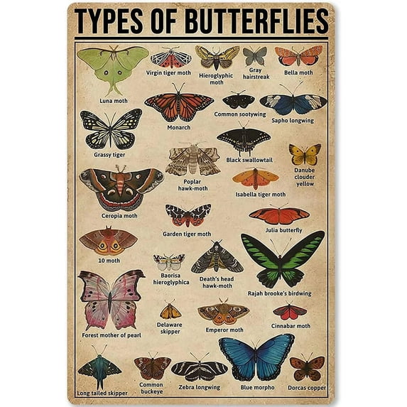 Vintage Metal Sign Wall Decal Types Of Deer Knowledge Tin Sign, Wall Art Retro Tin Sign Metal Poster for Home Bar Cafe Garage Personalized Metal Sign 8x12 inch