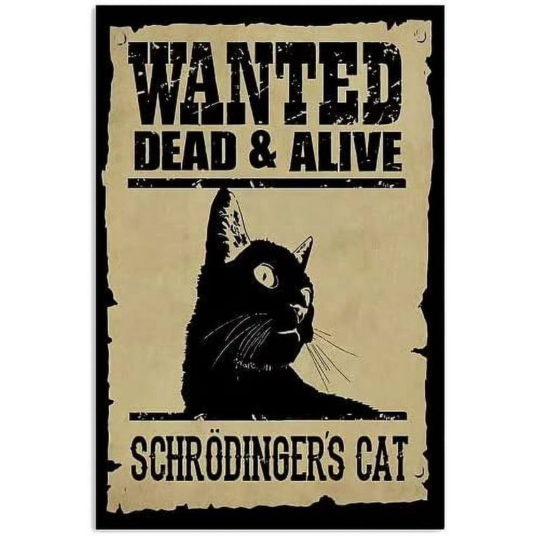 Vintage Metal Sign Wanted Dead & Alive Schrodinger's Cat Home Decor Vintage  Tin Sign Art Wall Plaque Decor Outdoor Indoor Wall Panel Retro Vintage  Mural 8x12 Inch - Walmart.com