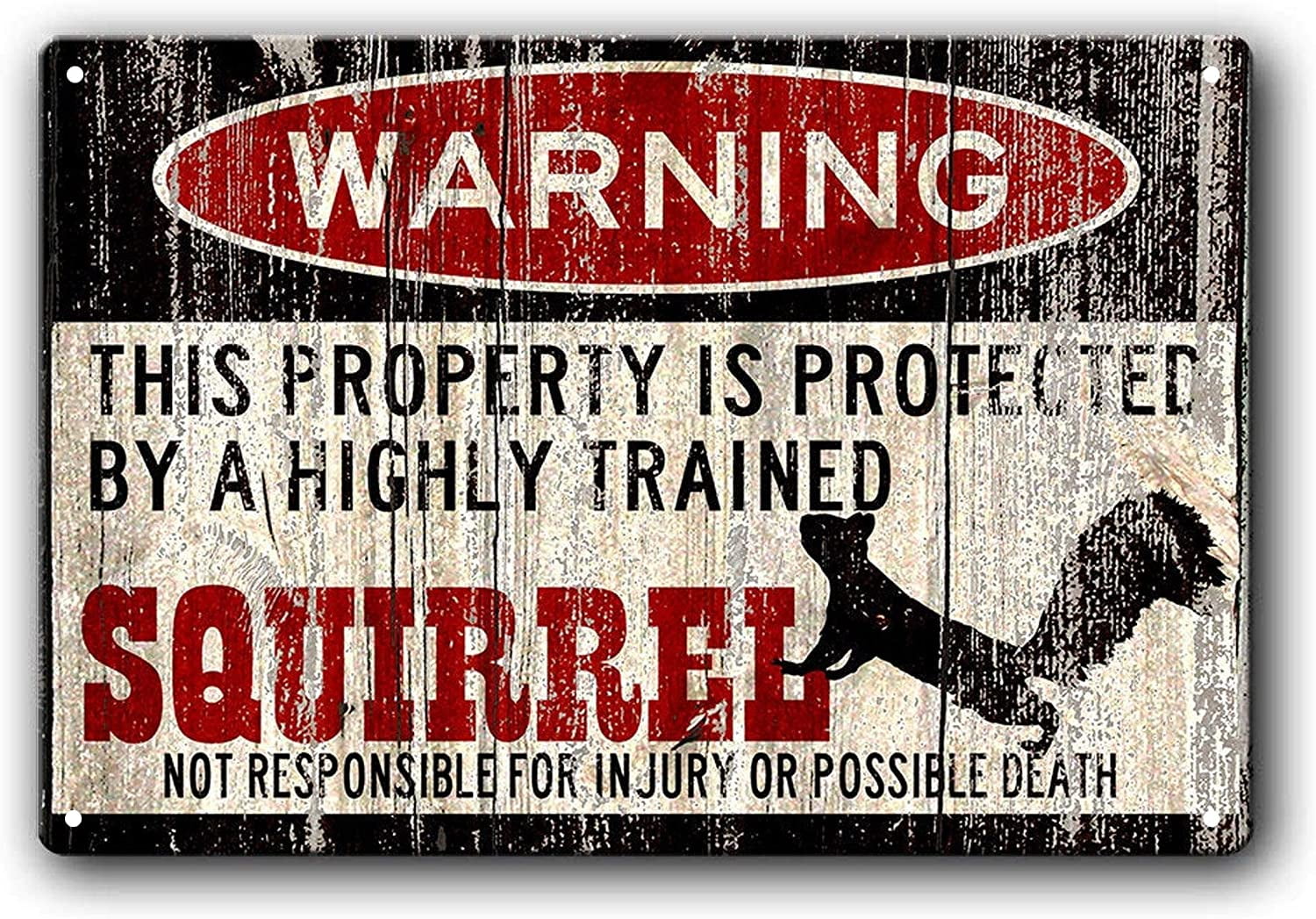 Vintage-Warnschild „This Property Is Protected By A Highly Trained Squirrel“ – 30,5x20,3 Cm, Metall, Für Garten & Haus