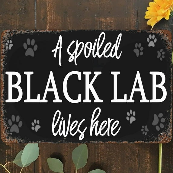 Vintage Metal Tin Sign 8"x12", Warning Wall Art Decor, Manly Men Doing Manly Stuff Poster for Home Living Room Bedroom Garden Garage Cafe Bar Pub