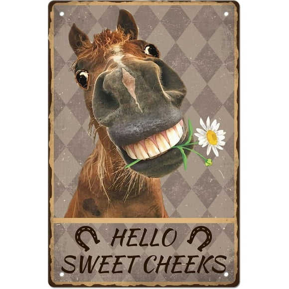 Vintage Metal Tin Sign Iron Wall Decor for Bars Restaurants Cafes Pubs Rectangle Horse Pattern 300x200x2.2mm