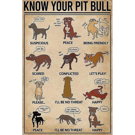 Vintage Metal Tin Sign Know Your Pit Bull Dog Knowledge Poster Wall Decor Gift For Bathroom Restaurant Farm Bedroom Cafe School 8x12 inches