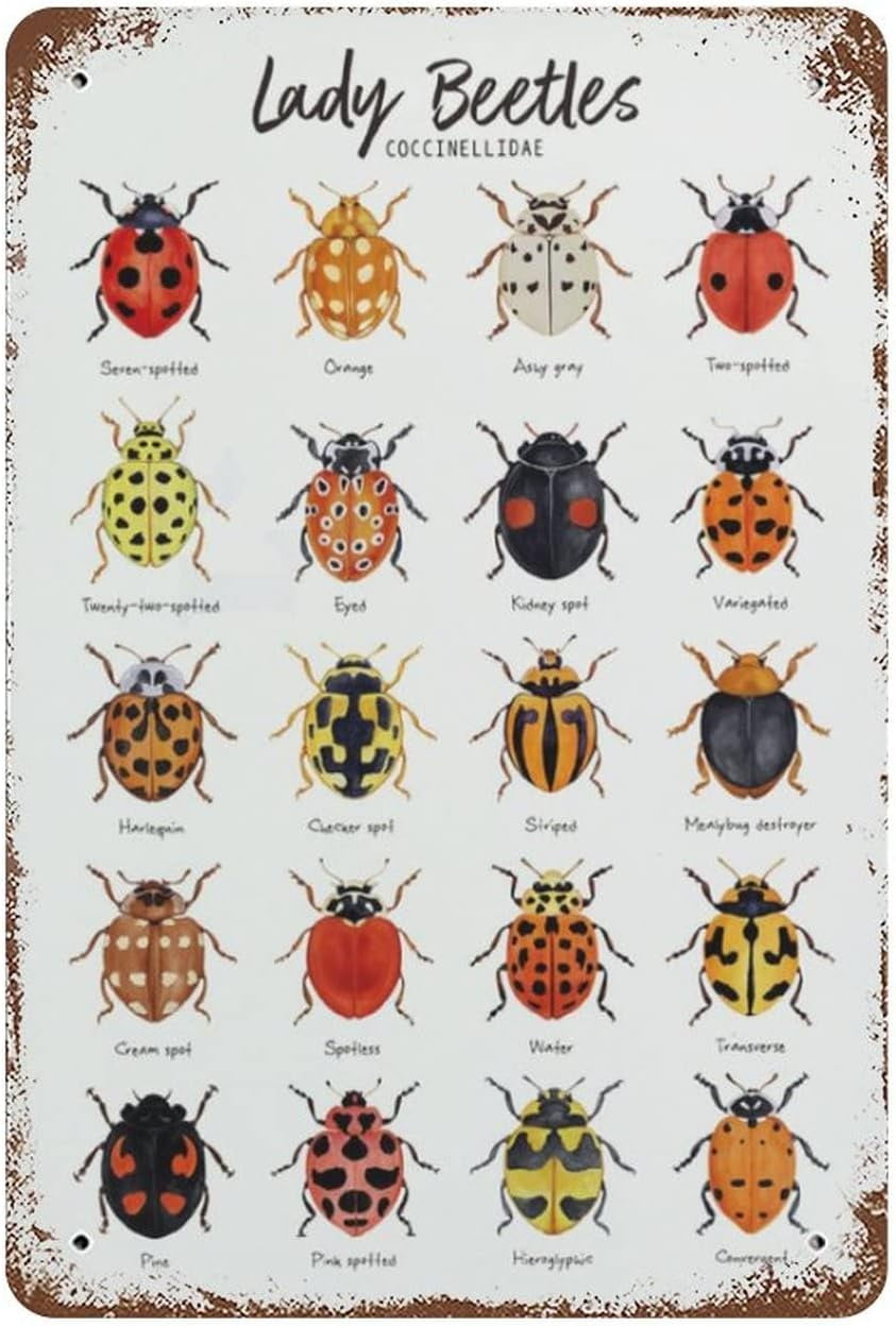 Vintage Metal Tin Sign Lady Beetles Ladybugs Ladybirds Home Decor Funny