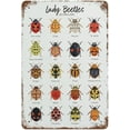 Vintage Metal Tin Sign Lady Beetles Ladybugs Ladybirds Home Decor Funny