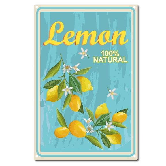 Vintage Metal Tin Sign Wall Decor for Bars Restaurants Cafes Pubs Fruit Pattern 30x20cm colorful