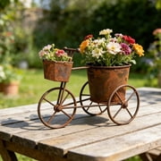 Vintage Metal Tricycle Planter, Weathered Iron Flower Pot with Two Pots, Rustic Sturdy Garden Yard Ornament, Durable Versatile Patio Indoor Outdoor Home Decor Gift