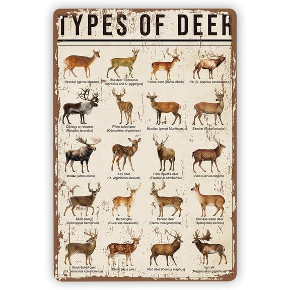 Vintage Metal Wall Sign Types of Deer Wildlife Chart Rustic Hunting Lodge Tin Plaque Cabin Artwork Patio Backyard Accent Indoor Outdoor 7.9 x 11.8 Inches