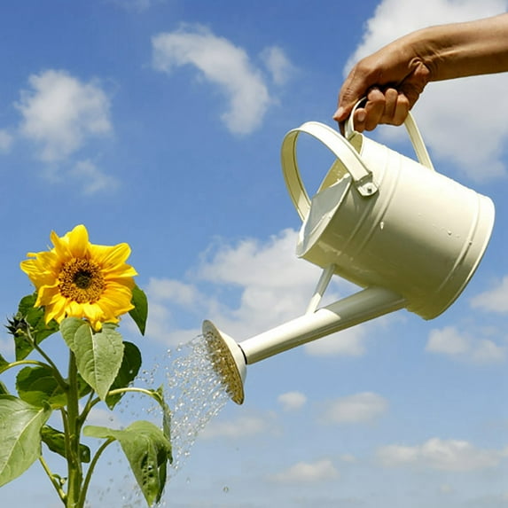 Vintage Metal Watering Can with Shower Spout, Decorative and Functional Garden Tool for Indoor and Outdoor Use