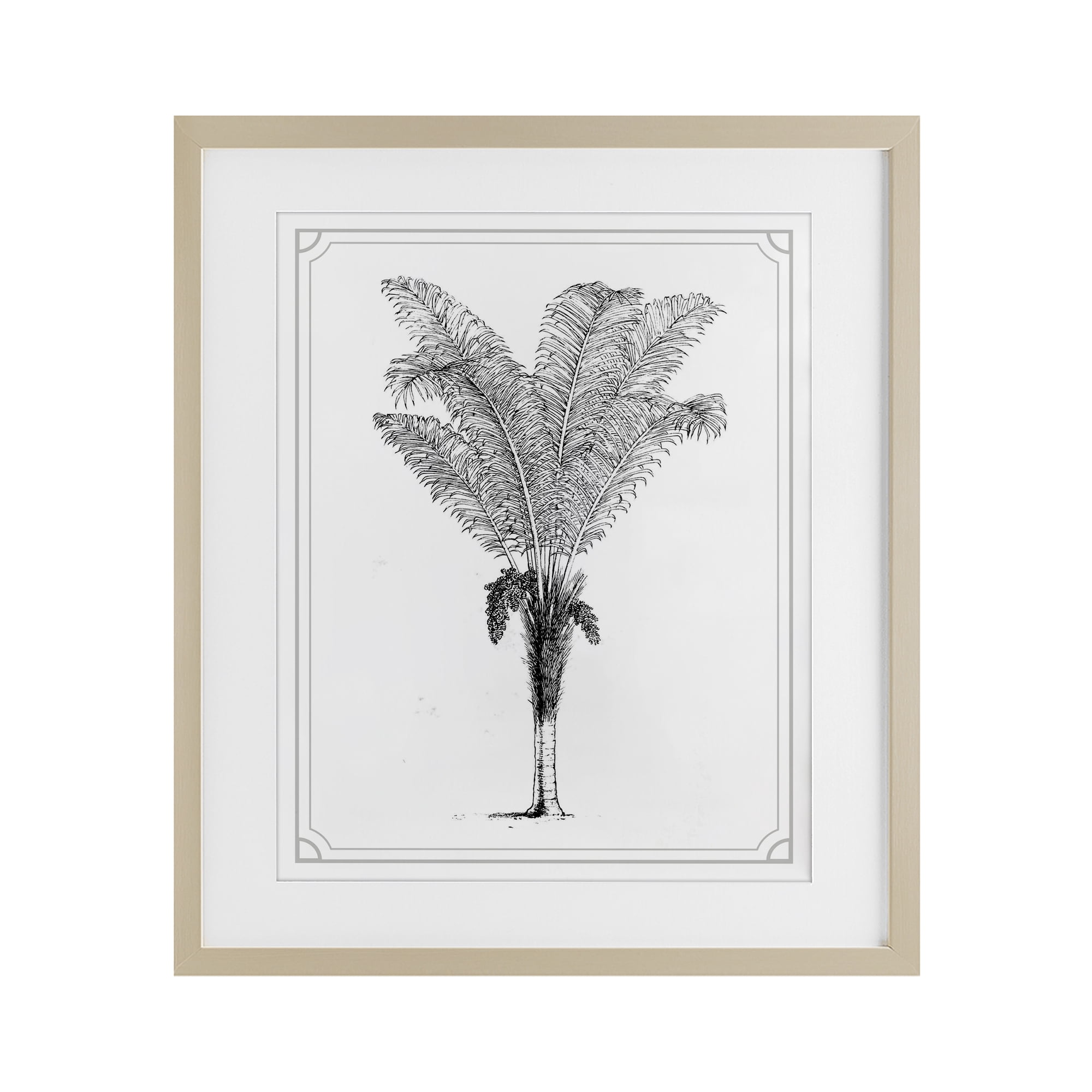 Vintage & Minimal Palm Birch Framed Print Under Glass, design by Lettered and Lined