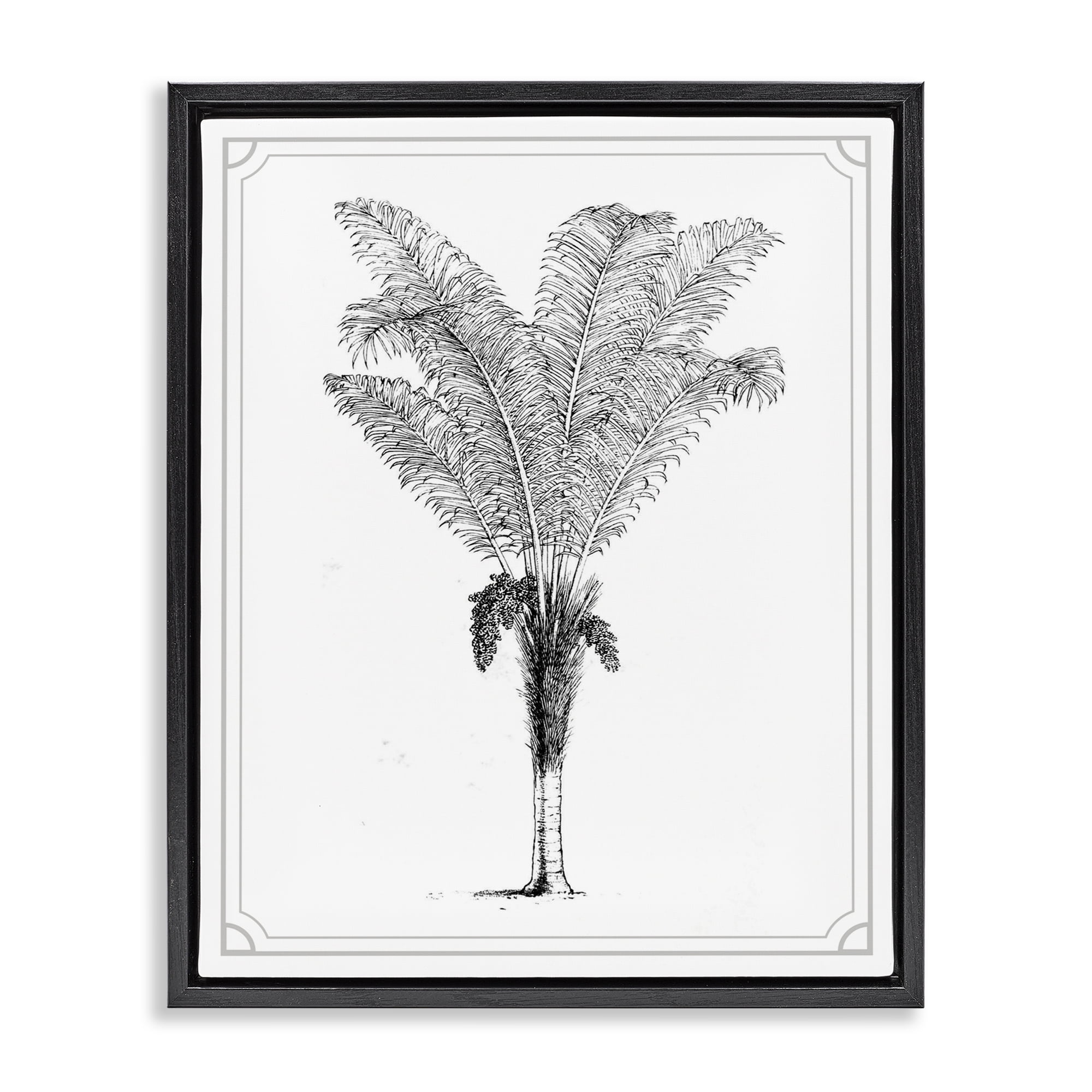 Vintage & Minimal Palm Black Framed Floater Canvas Wall Art, design by Lettered and Lined