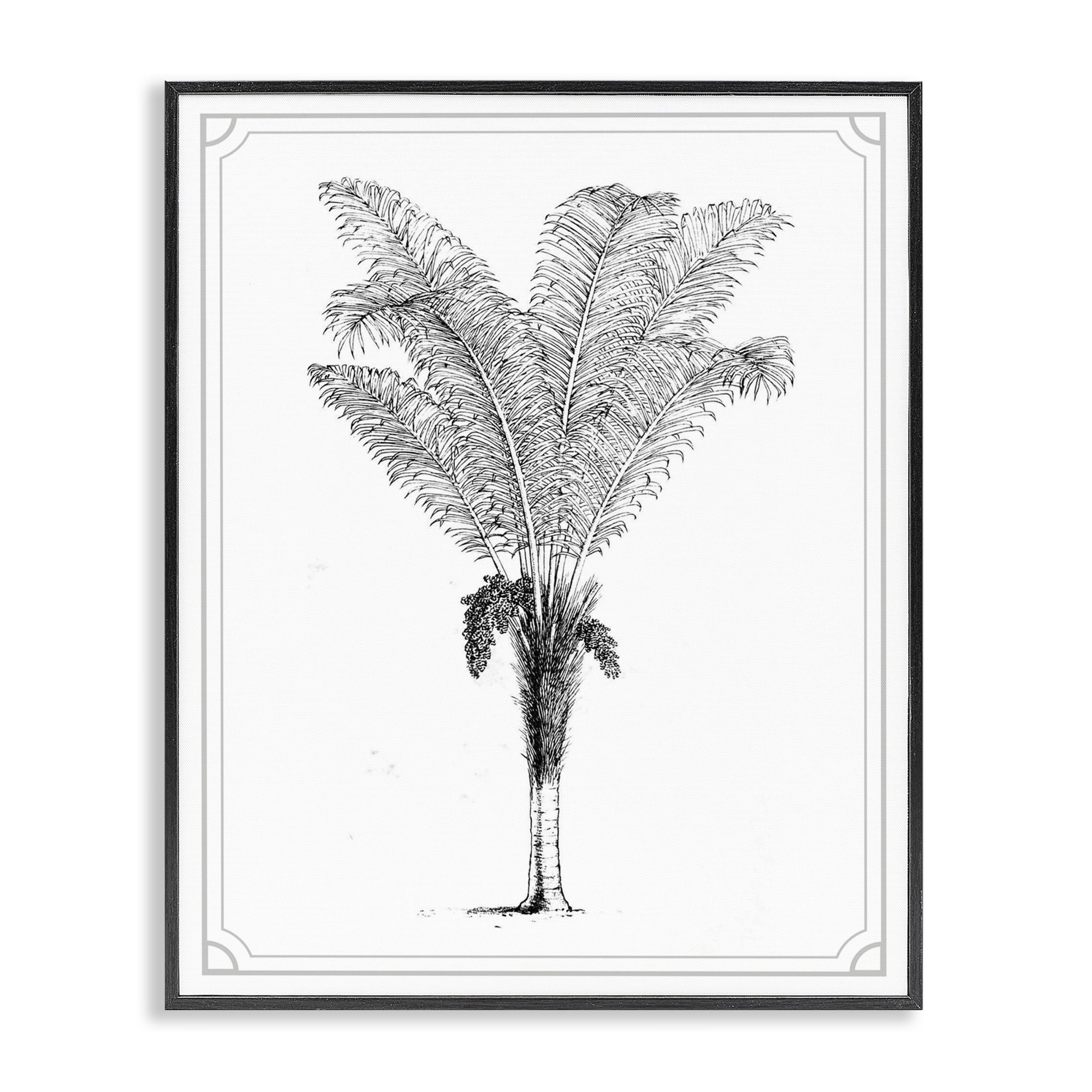 Vintage & Minimal Palm Black Framed Giclee Art, design by Lettered and Lined