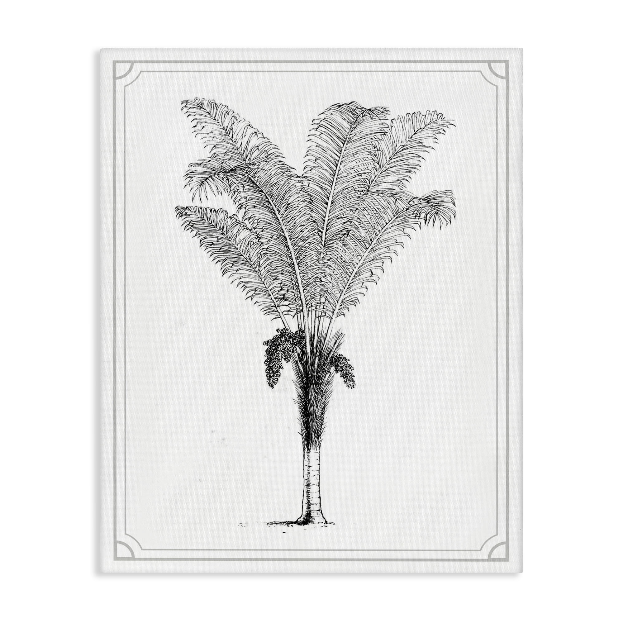 Vintage & Minimal Palm Canvas Wall Art, design by Lettered and Lined