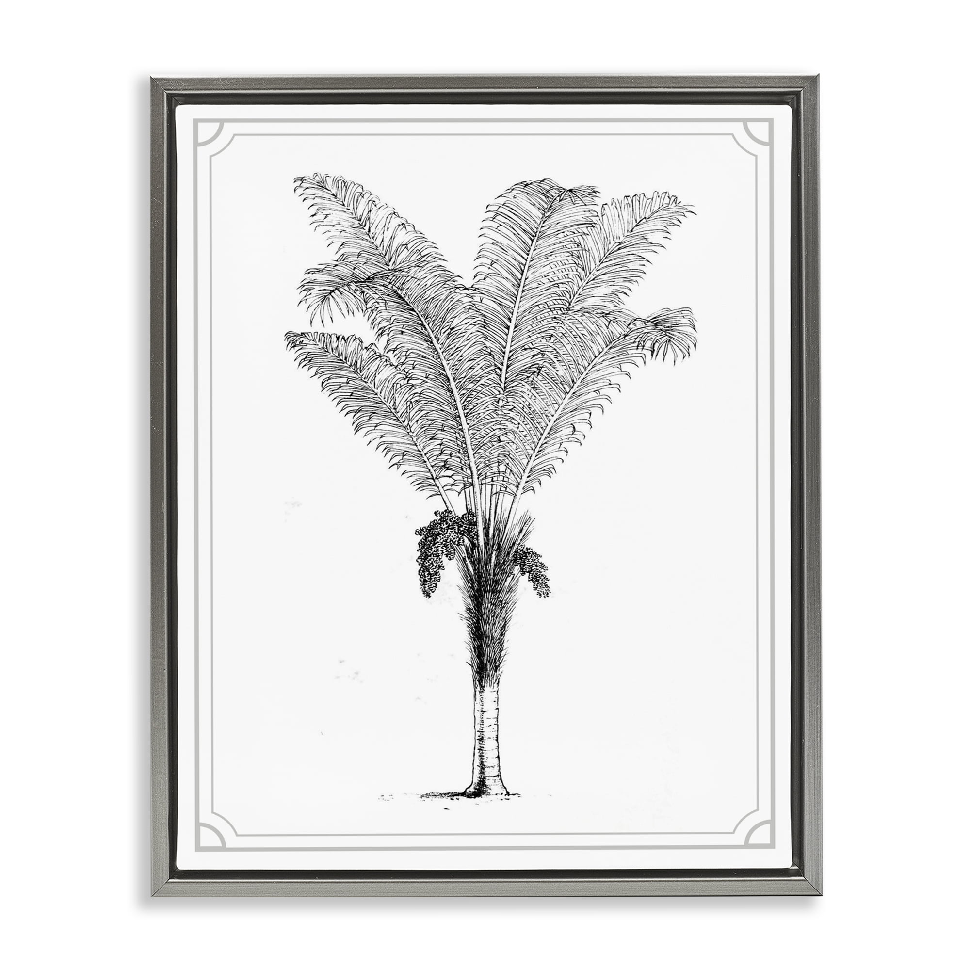 Vintage & Minimal Palm Gray Framed Floater Canvas Wall Art, design by Lettered and Lined