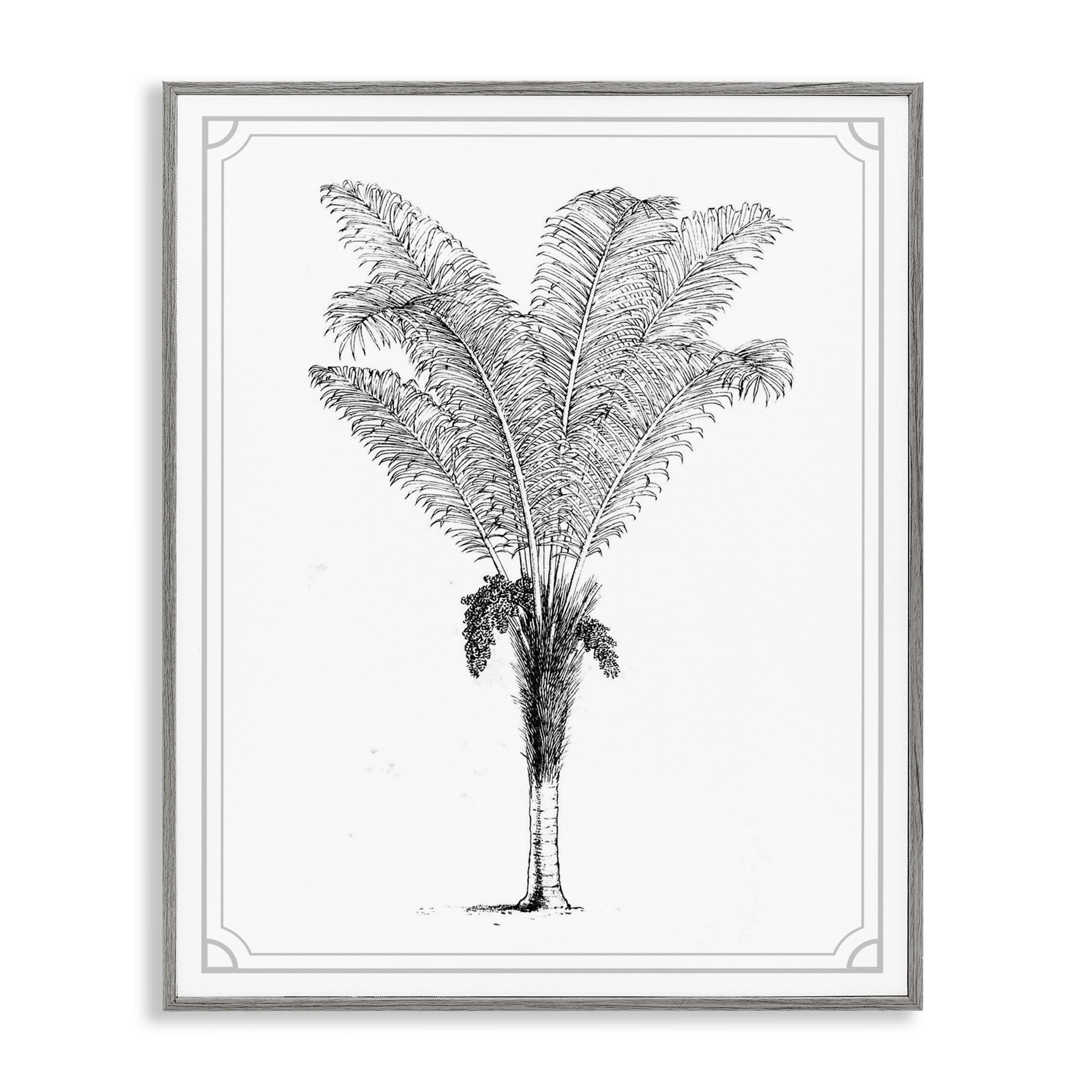 Vintage & Minimal Palm Gray Framed Giclee Art, design by Lettered and Lined