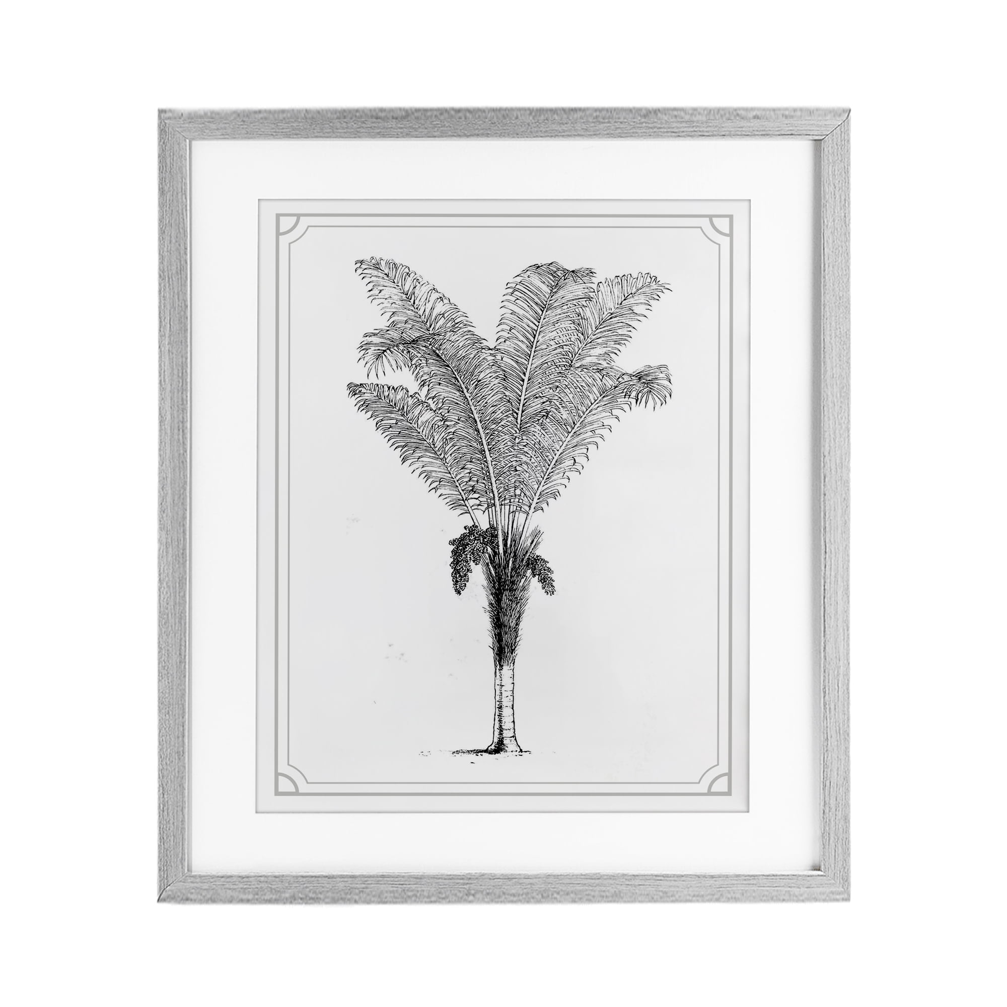 Vintage & Minimal Palm Gray Framed Print Under Glass, design by Lettered and Lined