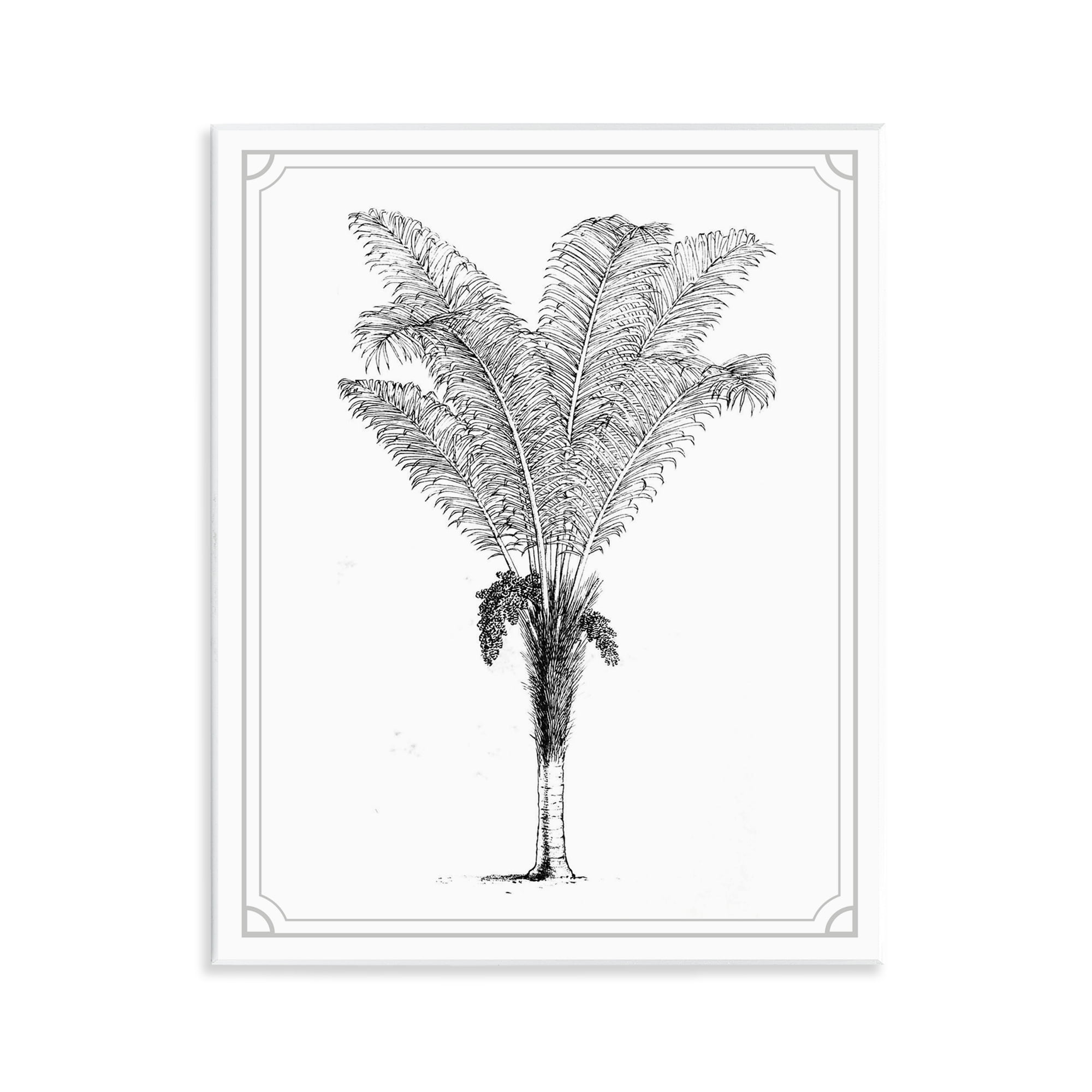 Vintage & Minimal Palm Wall Plaque Art, design by Lettered and Lined