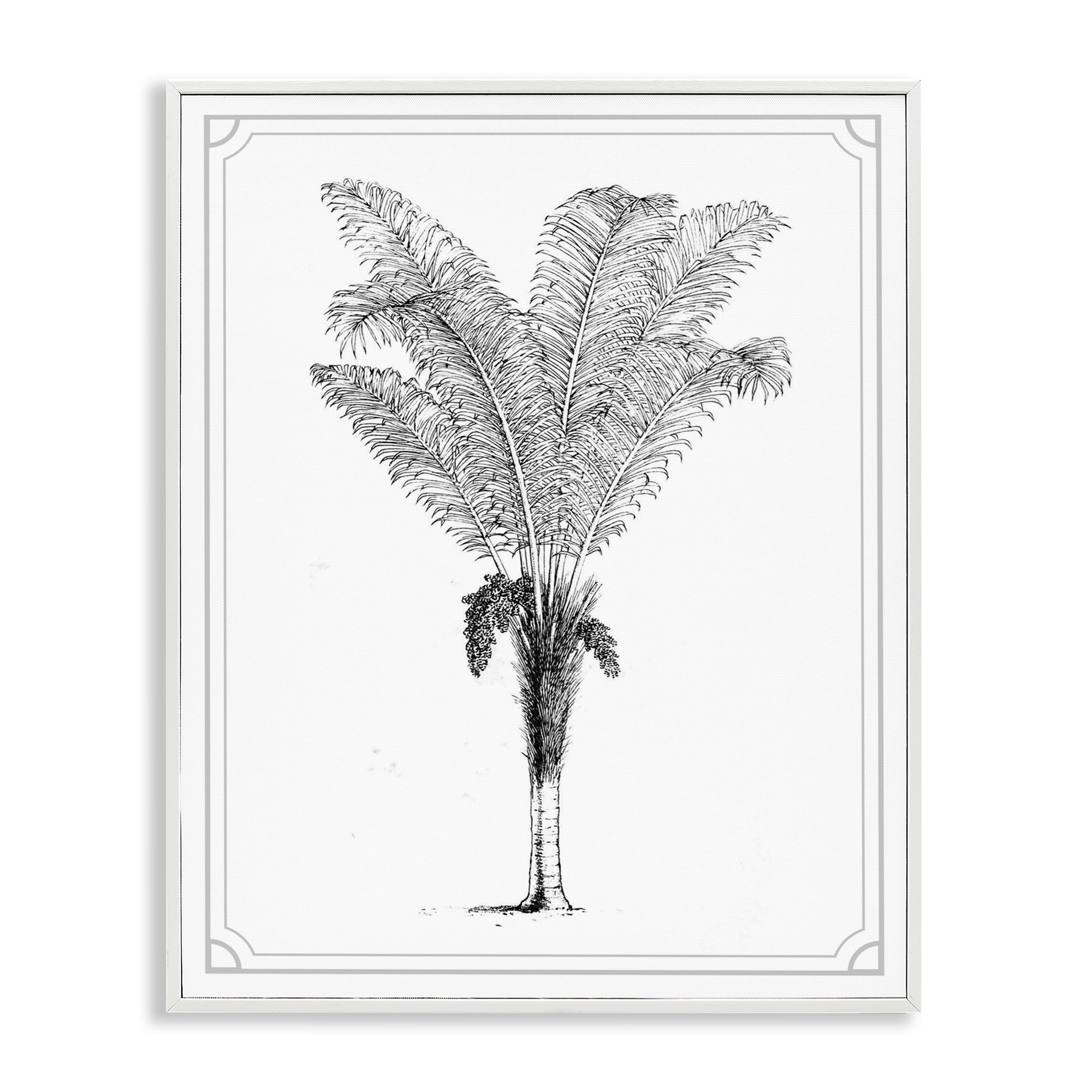 Vintage & Minimal Palm White Framed Giclee Art, design by Lettered and Lined