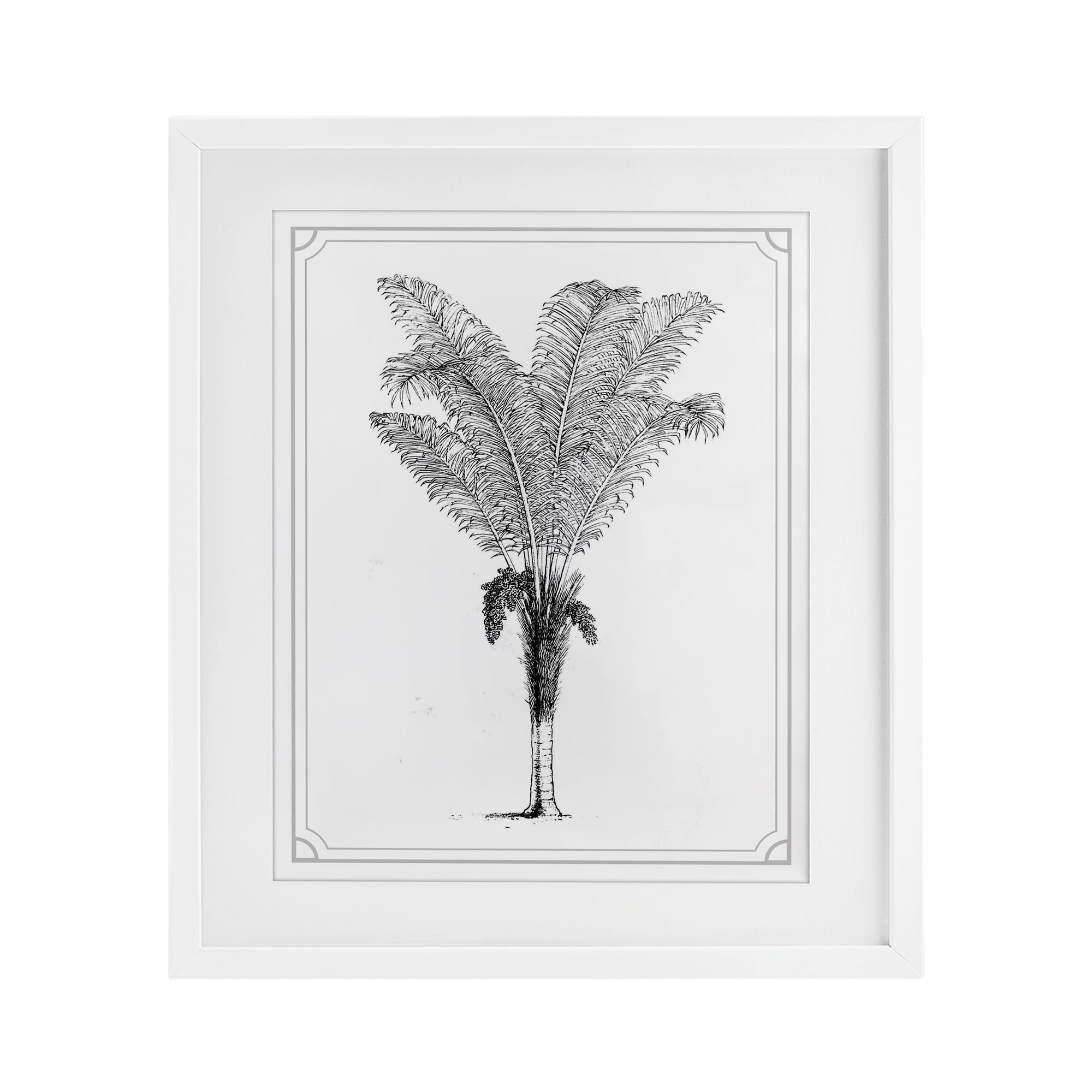 Vintage & Minimal Palm White Framed Print Under Glass, design by Lettered and Lined
