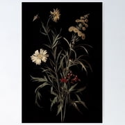 Vintage Minimalist Plants Poster, Poster Only