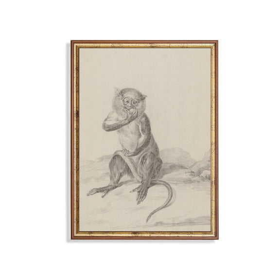 Vintage Monkey Poster Antique Zoological Art For Curiosity Cabinet Home Decor, 16x24 UNFRAMED