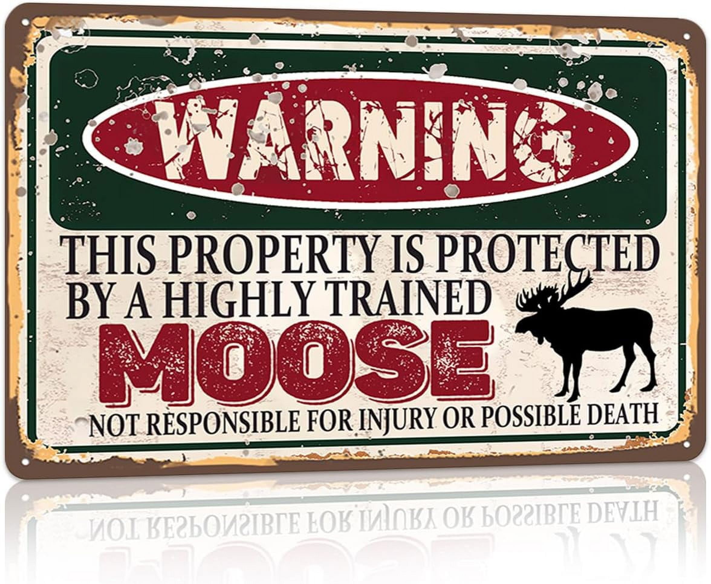 Warnschild 'This Property Is Protected By A Highly Trained Bearded Dragon' – Metall, 30,5x20,3 Cm, Wetterfest