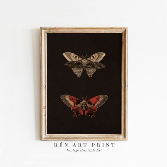 Vintage Moth Art Dark Cottagecore Decor Design1 Unframed Paper Print