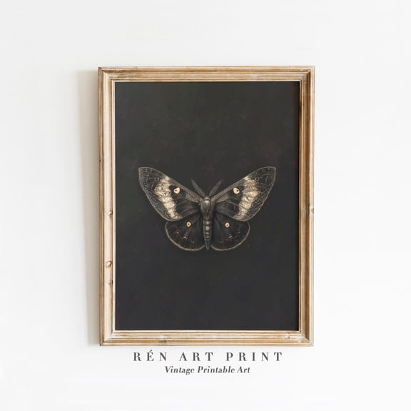 Vintage Moth Art Dark Gothic Insect Design1 Unframed Paper Print