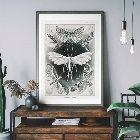Vintage Moth Art Print, Antique Insect Illustration, Moth Wall Chart Wall Art, Modern Wall Decor, 8x12 UNFRAMED