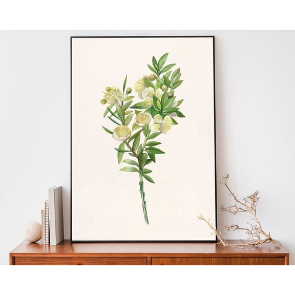 Vintage Myrtle Branch Art Print, Flower Poster, Botany Antique Botanical Print Wall Art, Modern Wall Decor, 12x18 UNFRAMED