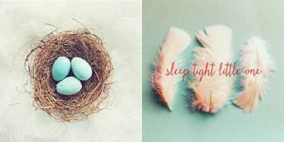 Vintage Nest of Feathers Canvas Art - Vicki Dvorak (24 x 48)