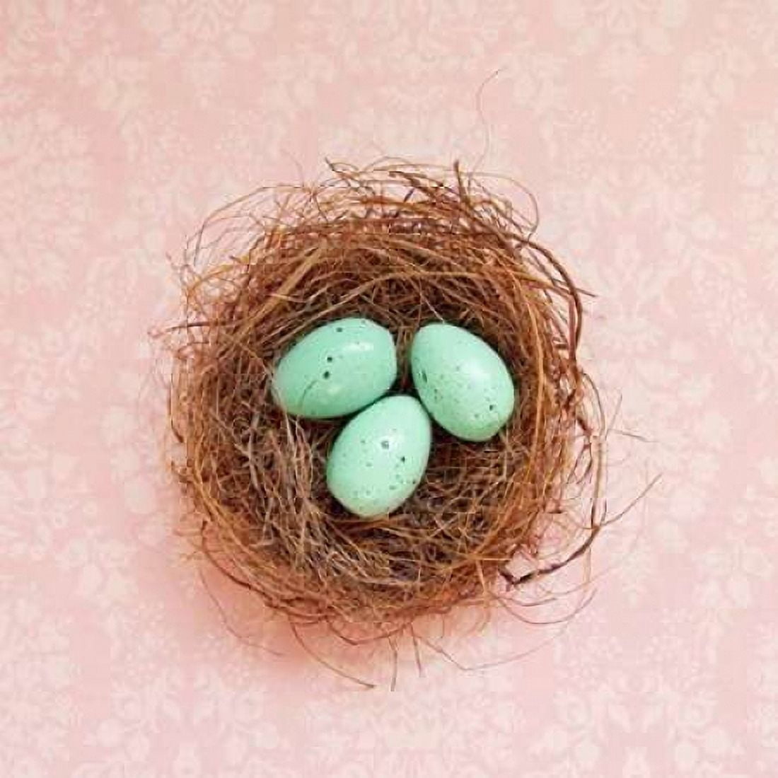 Vintage Nest on Pink Canvas Art - Vicki Dvorak (24 x 24)