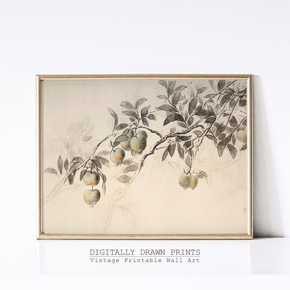 Vintage Neutral Apple Tree Sketch Rustic Farmhouse Kitchen Art Print Wall Art Print Art