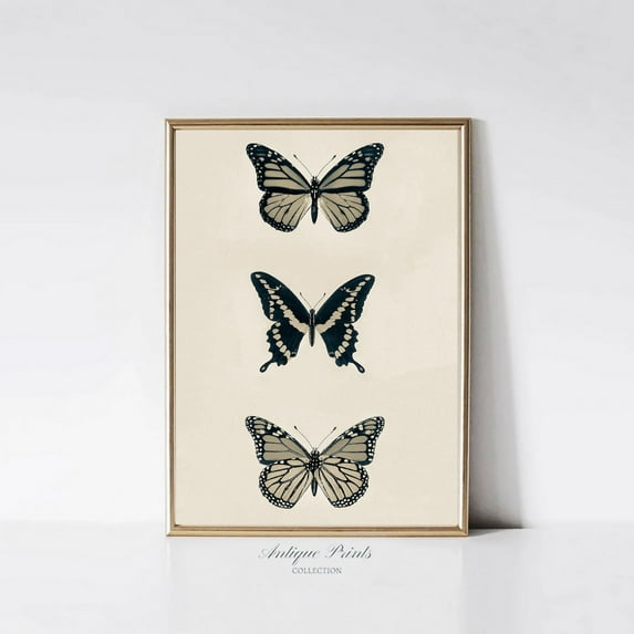 Vintage Neutral Butterfly Print, Antique Butterfly Drawing, Nursery Wall Art, Butterflies Sketch Art, Girls Room Print, Home Decor #1214, 8x12 UNFRAMED