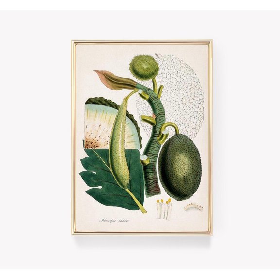 Vintage Night Sky Poster Crescent Moon Comet Wall Art