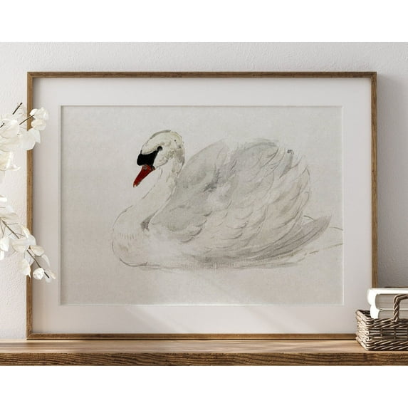 Vintage Nursery Wall Decor, Antique Swan Watercolor Print, Able Art, Antique Nursery Girls Room Wall Decor, Septandflyart, Wall Art, Modern Wall Decor, 24x36 UNFRAMED