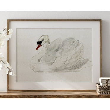 Vintage Nursery Wall Decor, Antique Swan Watercolor Print, Able Art, Antique Nursery Girls Room Wall Decor, Septandflyart, Wall Art, Modern Wall Decor, 8x12 UNFRAMED