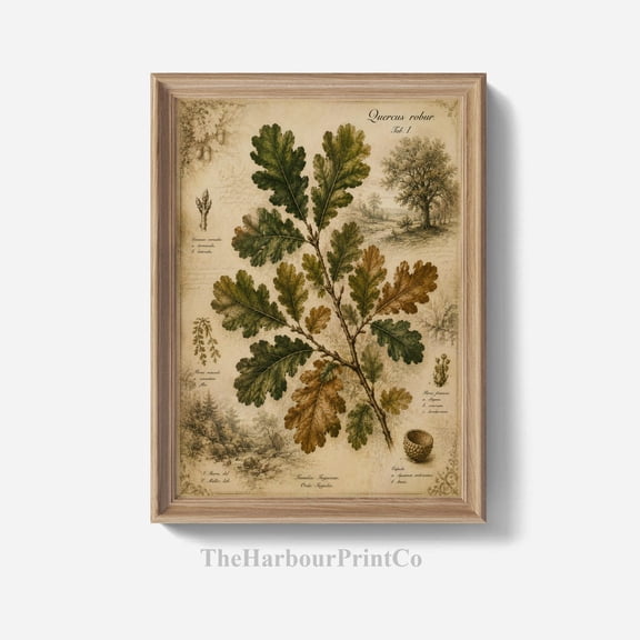Vintage Oak Leaves Botanical Illustration, Unframed Paper Poster 16x20in