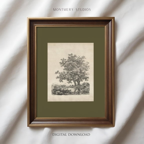 Vintage Oak Tree Etching Wall Art Print