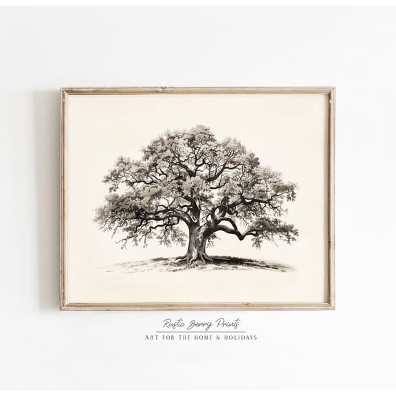 Vintage Oak Tree Sketch Farmhouse Poster Unframed Paper Print