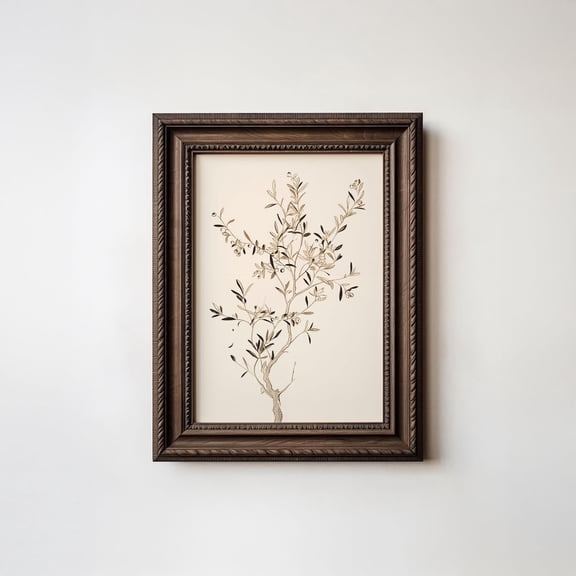 Vintage Olive Tree Branch Mediterranean Kitchen Wall Art UNFRAMED PAPER POSTER, Home Decor
