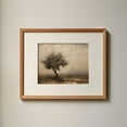 thumbnail image 1 of Vintage Olive Tree Wall Art, Rustic Mediterranean Wall Art, Moody Wall Art, Vintage Botanical Art, Muted Tonal Art, Poster, Unframed Poster Size 24x36 F03.1.15l1359, 1 of 4